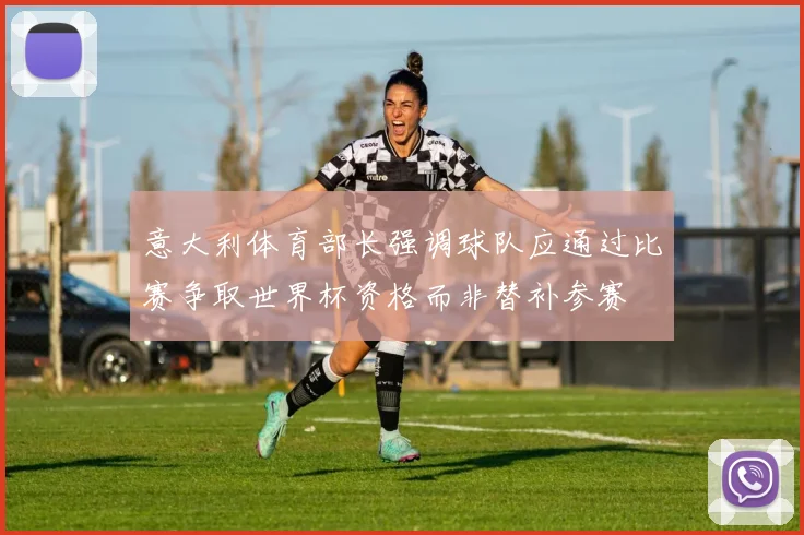 意大利体育部长强调球队应通过比赛争取世界杯资格而非替补参赛